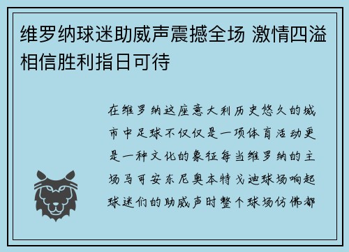 维罗纳球迷助威声震撼全场 激情四溢相信胜利指日可待