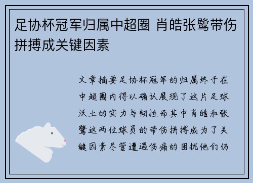 足协杯冠军归属中超圈 肖皓张鹭带伤拼搏成关键因素