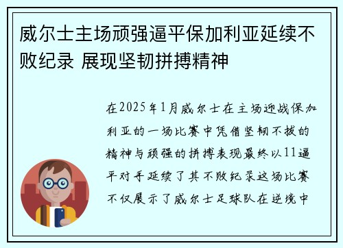 威尔士主场顽强逼平保加利亚延续不败纪录 展现坚韧拼搏精神