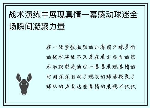 战术演练中展现真情一幕感动球迷全场瞬间凝聚力量